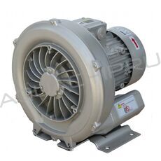 Компрессор низкого давления Espa ASC0210-1MT131-6, 210 м3/ч, 1,3 кВт, 380 В, 2"