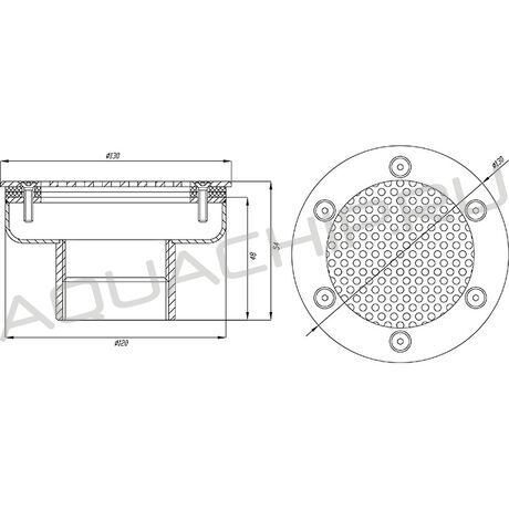 Водозабор круглый Xenozone, D=120 мм, 20 м3/ч, 2" внутр. низ, нерж. сталь, пленка